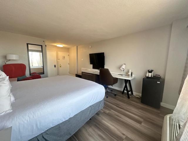King Room image 4