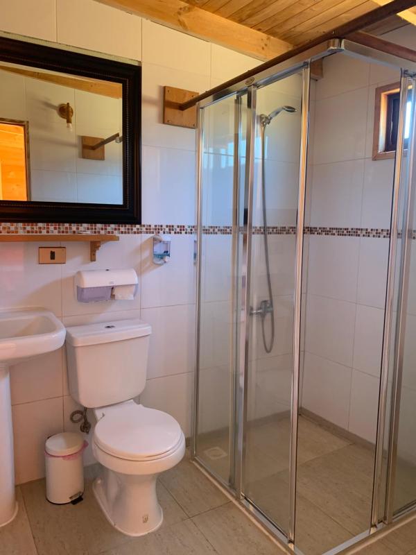 Hostal Tour Pucon - image 19