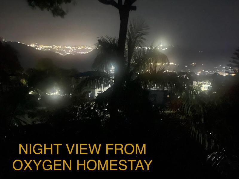 Oxygen Homestay-A Blissful Retreat - image 30