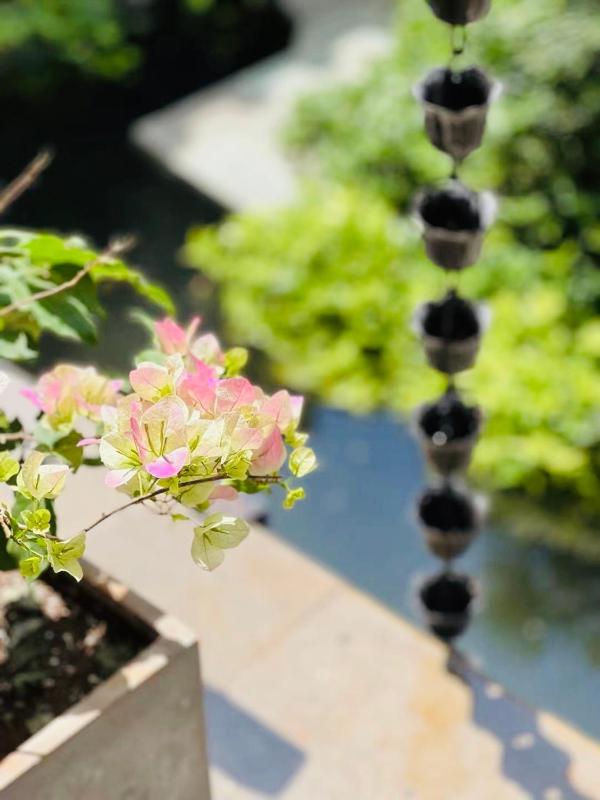 Fuxian Lake Qishe B&B - image 19