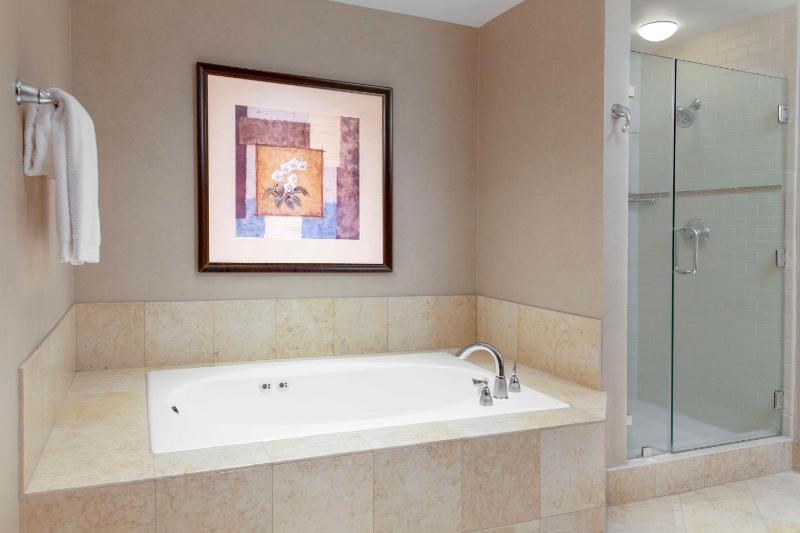 One-Bedroom Junior Parlor King Suite image 4
