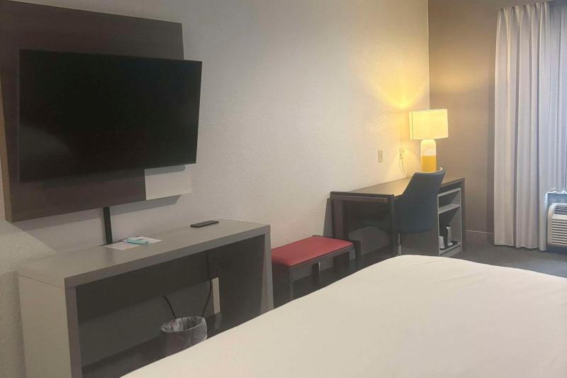 King Room image 2