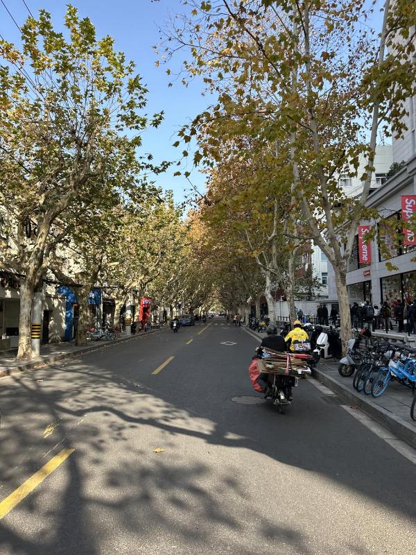 Shanghai Hills & Art Suite 18 - Near Line 1 & 7 Changshu Road Metro - image 11
