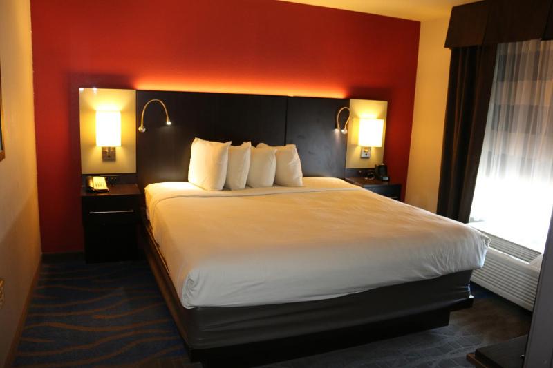 Standard One-Bedroom Apartment image 1
