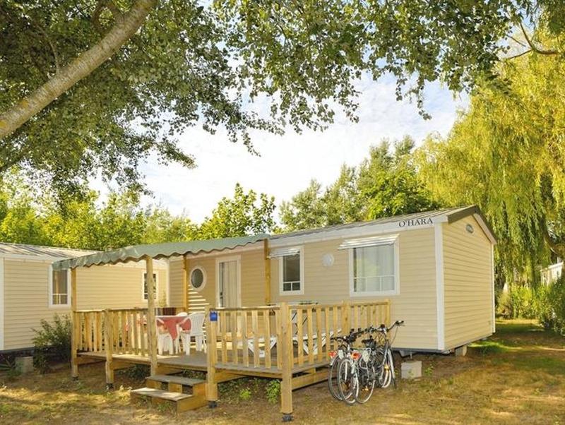 Camping Le Bois d'Amour - image 23
