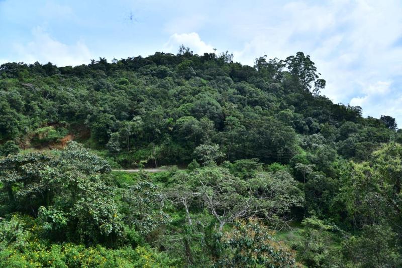 Coorg Balaji Palace Homestay Madikeri - image 6