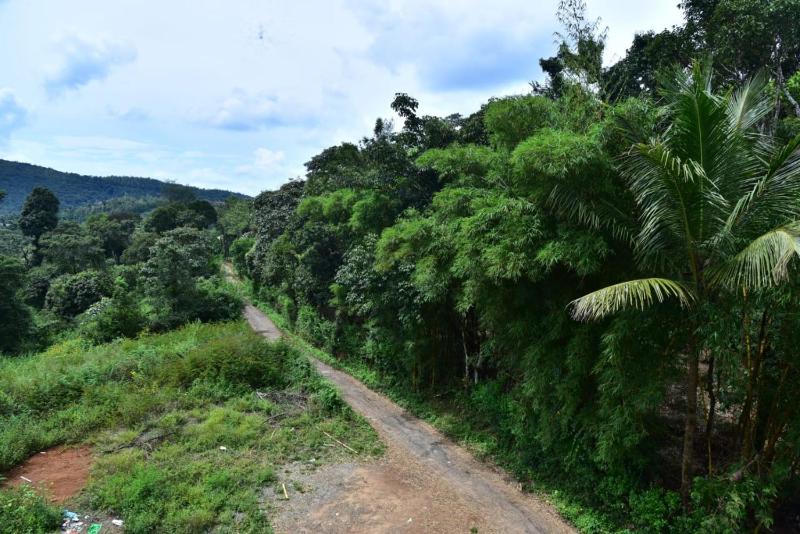 Coorg Balaji Palace Homestay Madikeri - image 41