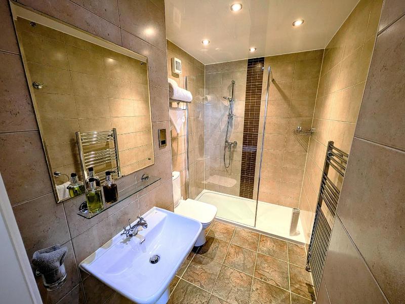 Premium Double Room image 3