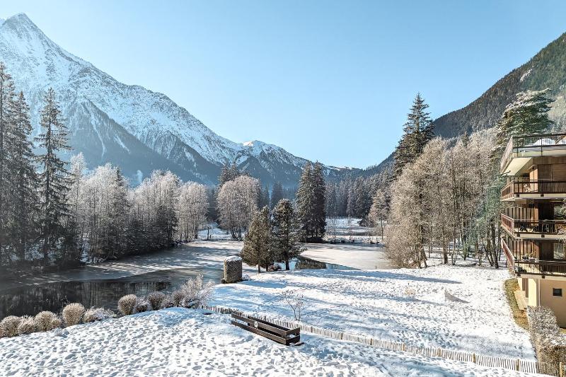 Apartment Cristal des Glaces Mont Blanc View Alpes Agency sleeps 6 - image 23