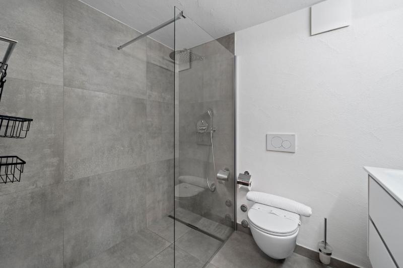 Abitaziun Caspar Badrutt 302 - St Moritz - image 18