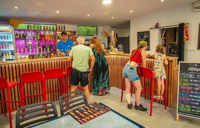 ZEcamping chiens acceptes espace aquatique et bar - image 25