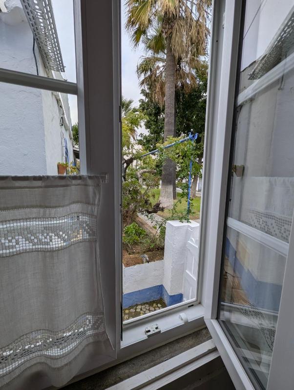 One-Bedroom Apartment (3 Adults) image 2