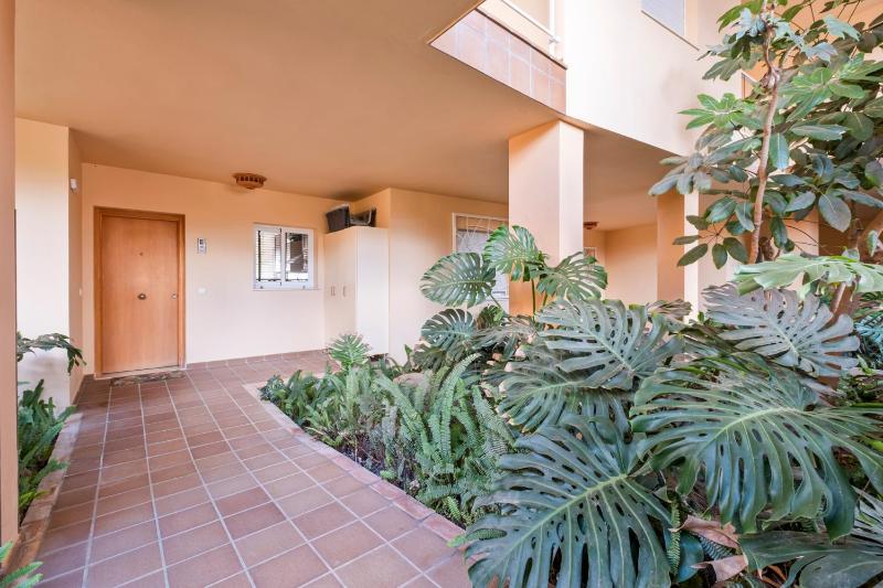 Penthouse with Jacuzzi by Costarentals - Ref 244 - image 7