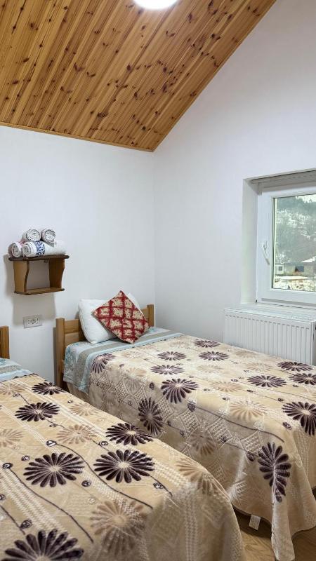 Twin Room image 4
