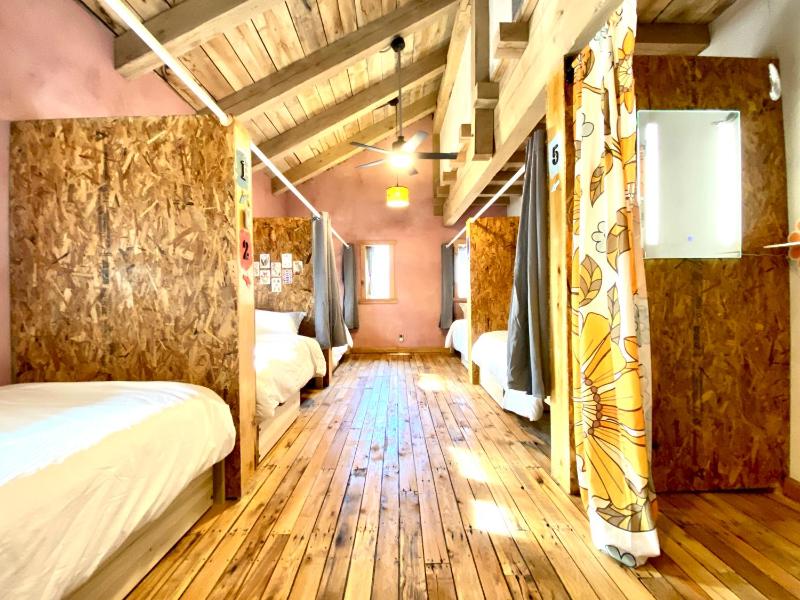 Single Bed in Dormitory Room image 3