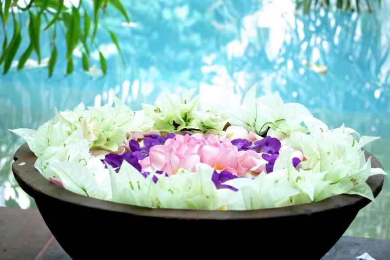 Orchard House Galle - image 14
