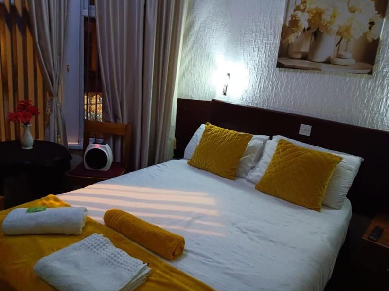 Deluxe Double Room image 3