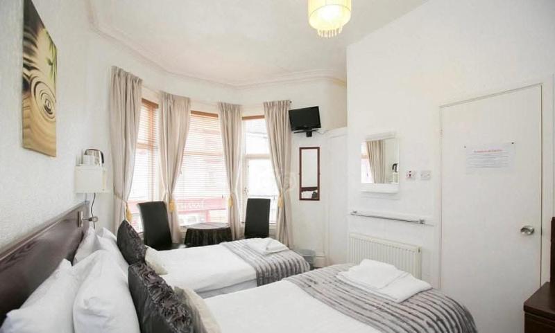 Deluxe Twin Room image 2