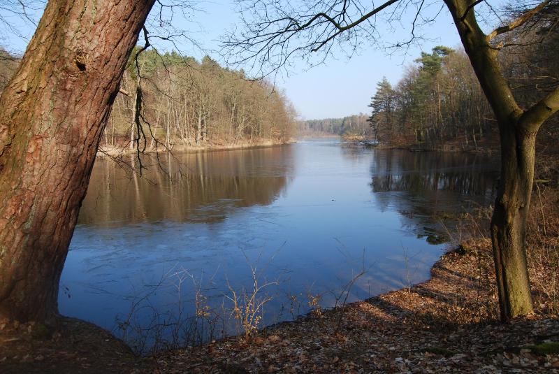 Double or Twin Room image 3