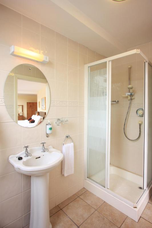 Single Room image 2