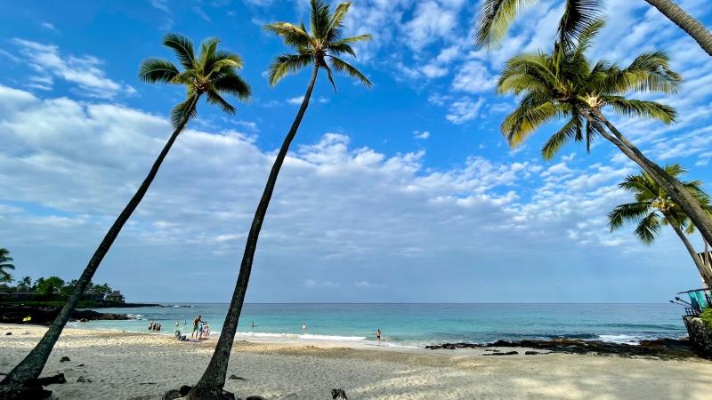 Kona Onenalo 11 - image 34