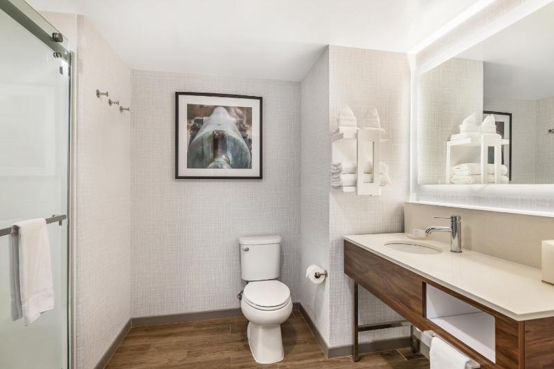 King Suite with Roll-In Shower - Non-Smoking image 2