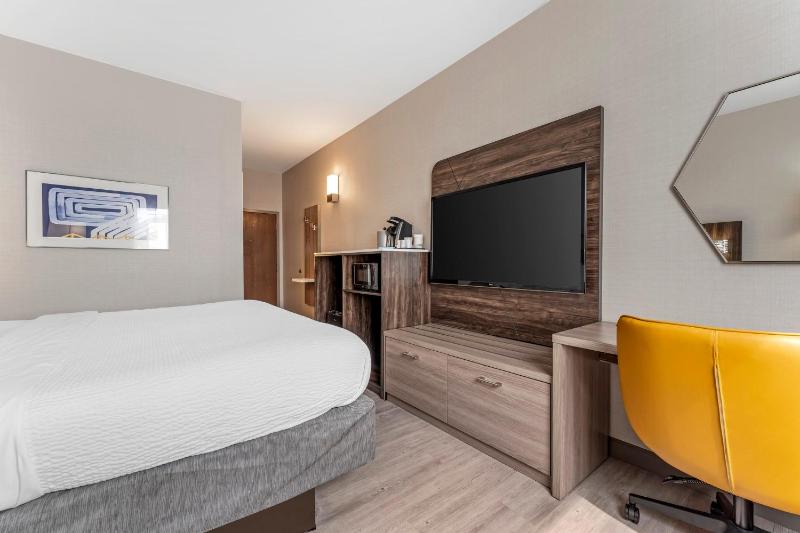 Standard King Room image 4