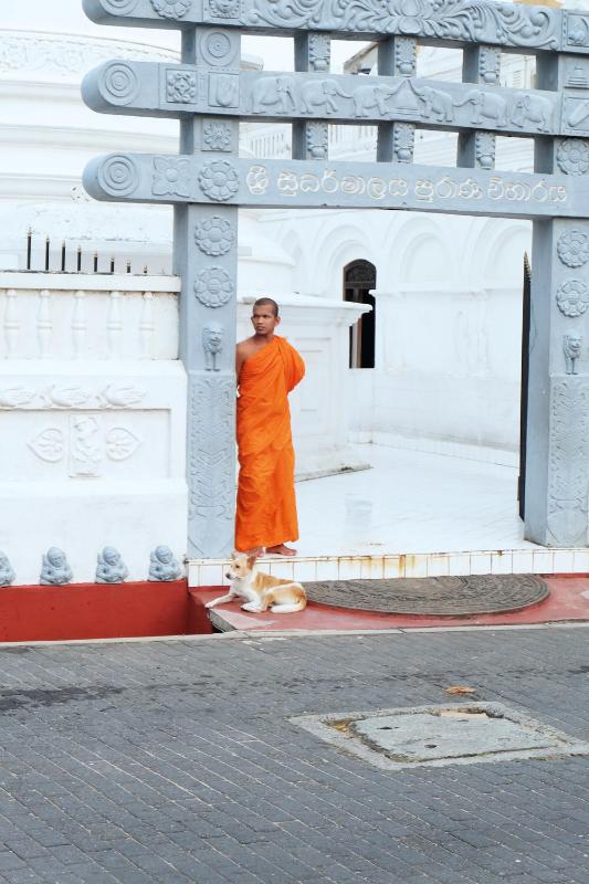 Orchard House Galle - image 2