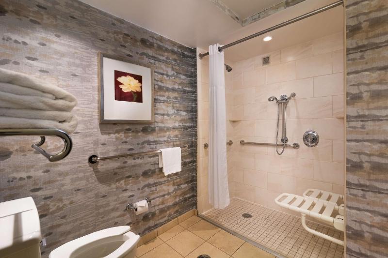 King Room with Roll-In Shower - Disability Access image 3