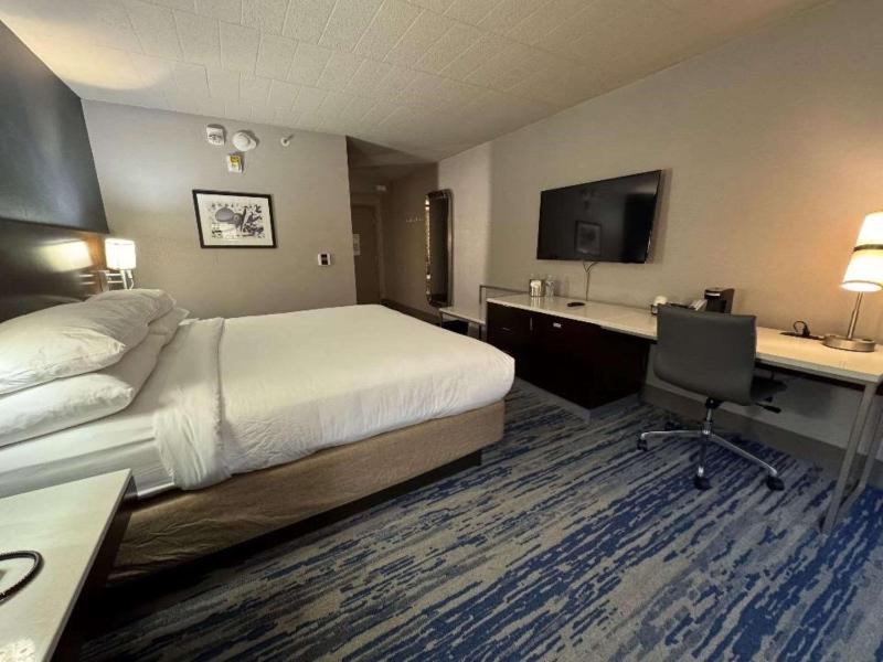 King Room  image 3