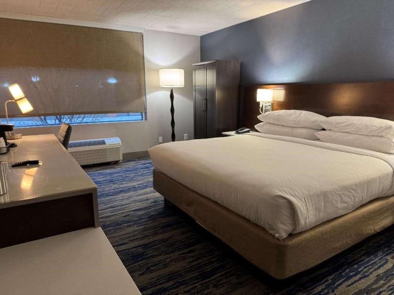 King Room  image 2