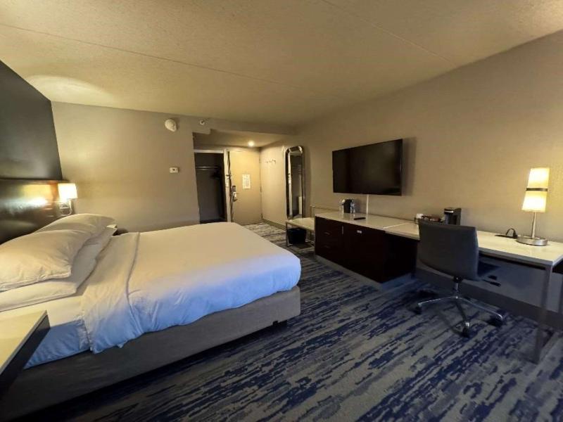 Large King Room - Non-Smoking image 4
