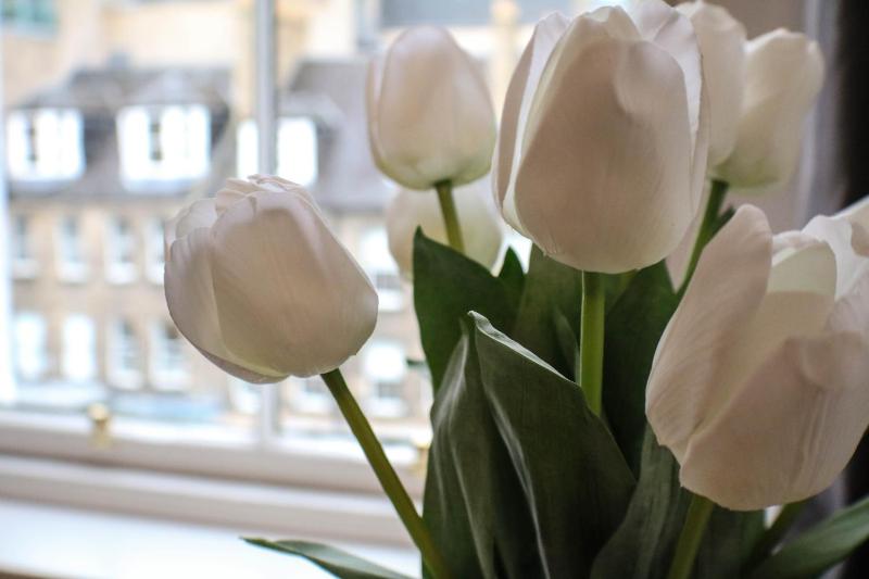 One-Bedroom Apartment image 2