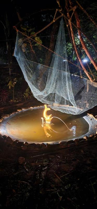 Cheenavala Fishing Homestay - image 15