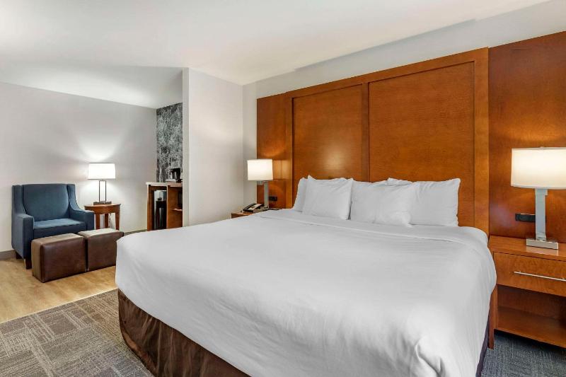 King Room - Accessible/Non-Smoking (No Pets Allowed) image 1