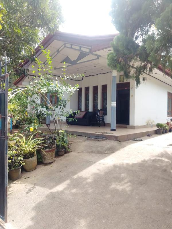 Hiriketiya Rose Homestay - image 1
