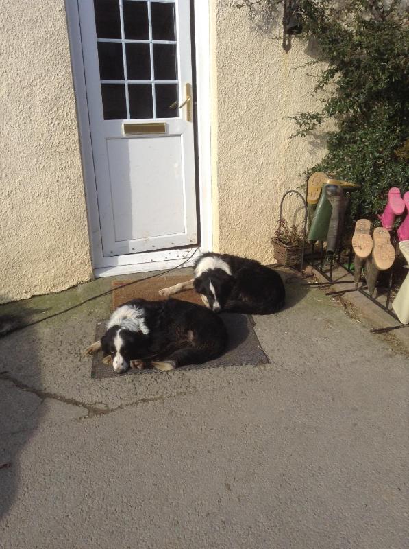 Holiday Home image 1