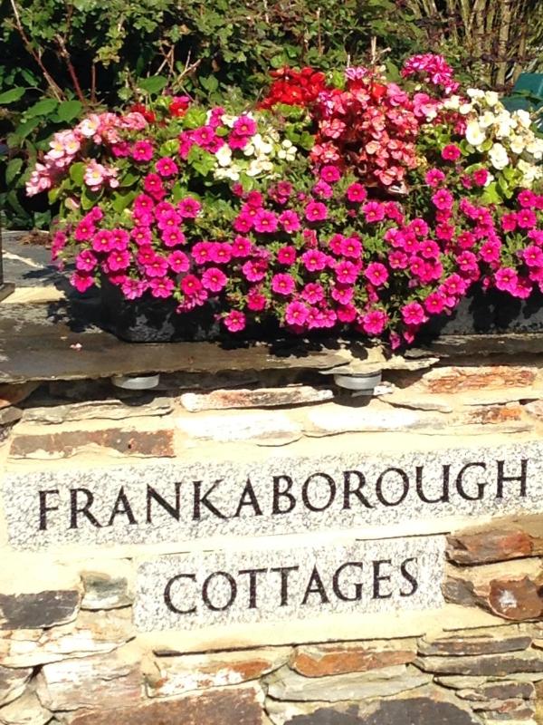 Holiday Home image 3