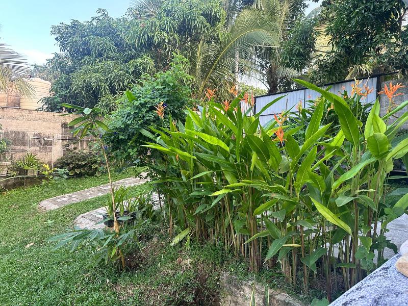 Star Hill Villa - image 21