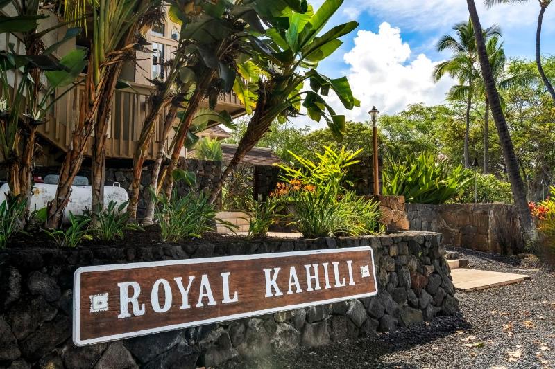 Royal Kahili 401A - image 46