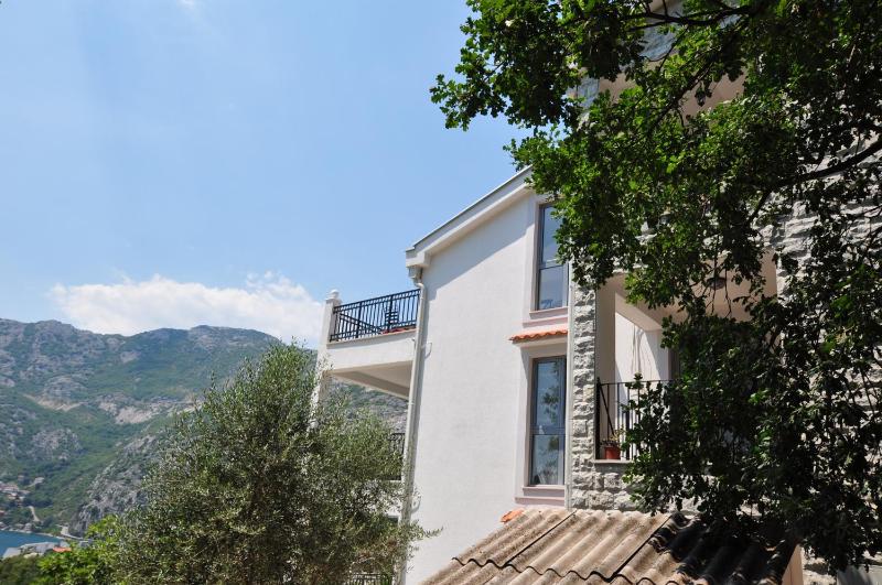 Apartment - Split Level image 1