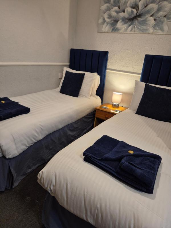 Deluxe Twin Room image 3