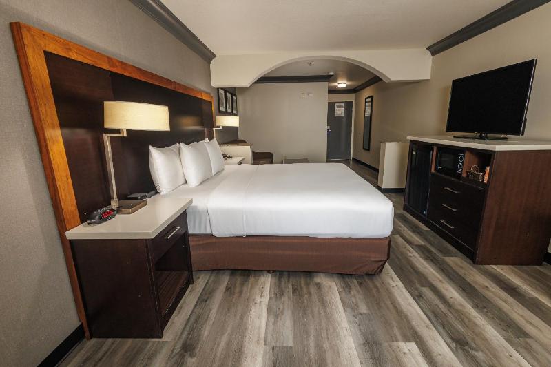 Deluxe Suite King Room image 2