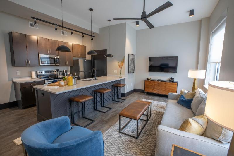 Deluxe King Suite image 2