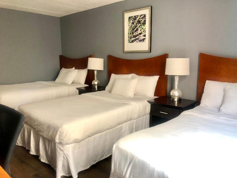 Economy Triple Room image 2