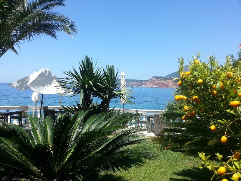Studio Apartment with Sea View (3 Adults) image 3