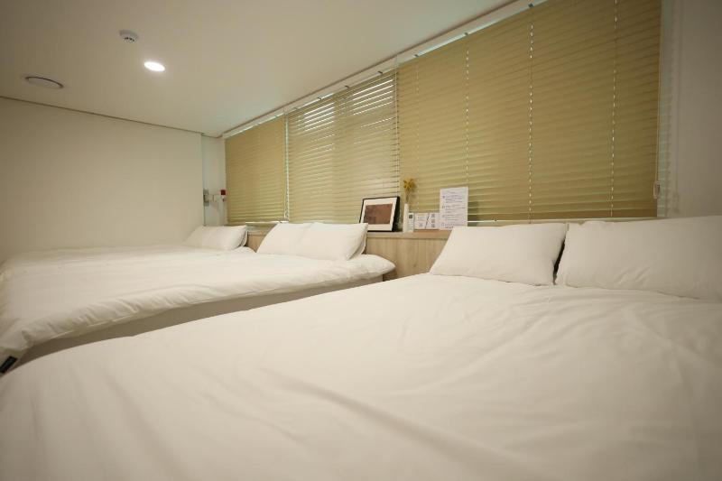 Manso Hostel in DDP - image 2