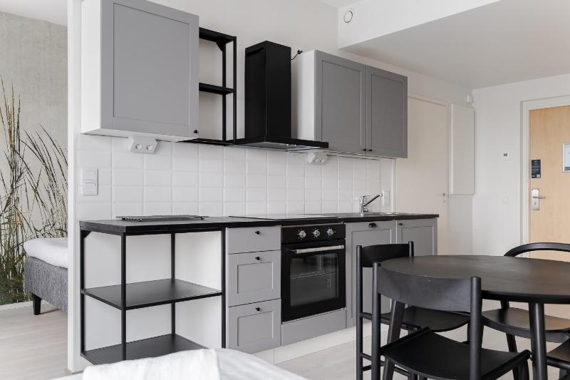 One-Bedroom Apartment image 4