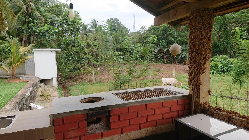 Paddy view villa near Bentota - image 2