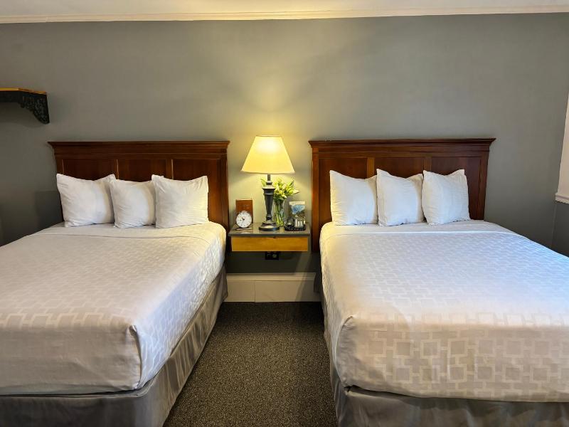 Standard Double Room image 2